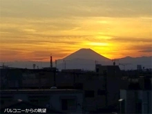 【神奈川県/川崎市川崎区大島上町】ナイスステージ川崎ウイング 