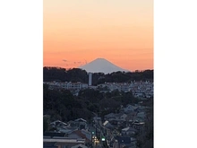 【神奈川県/逗子市新宿】ライオンズマンション逗子披露山公園 