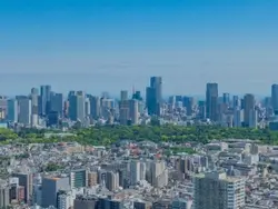 【東京都/新宿区富久町】富久クロスコンフォートタワー 眺望