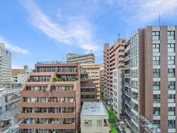 【東京都/渋谷区恵比寿】グランドヒルズ恵比寿 眺望