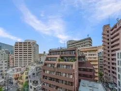 【東京都/渋谷区恵比寿】グランドヒルズ恵比寿 眺望