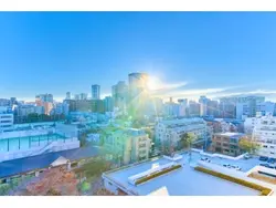 【東京都/港区三田】三田綱町パークマンション 眺望