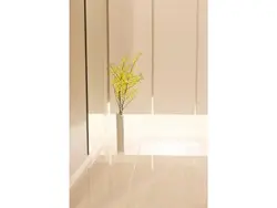 【東京都/中央区晴海】HARUMI FLAG SUN VILLAGE T棟 玄関