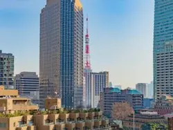 【東京都/港区赤坂】サイオン桜坂　SAION　SAKURAZAKA 眺望：リビングダイニングから