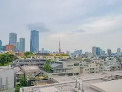 【東京都/港区元麻布】元麻布パークハウス 眺望：LDから・東京タワービュー（季節・天候による）