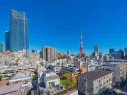 【東京都/港区東麻布】ロイヤルシーズン東麻布 眺望：※ズームなし