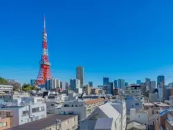 【東京都/港区東麻布】ロイヤルシーズン東麻布 眺望：※ズームあり