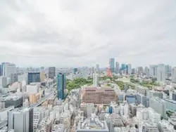 【東京都/港区浜松町】WORLD TOWER RESIDENCE 眺望：バルコニーからの眺望 ※ズームなし
