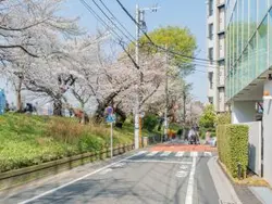 【東京都/千代田区九段北】ブランズ九段北 前面道路
