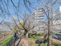 【東京都/千代田区九段北】ブランズ九段北 外堀公園緑道（現地より約10m）