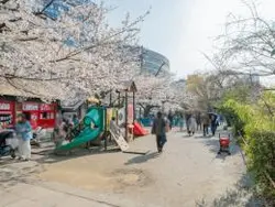 【東京都/千代田区九段北】ブランズ九段北 外堀公園（現地より約200m）