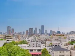 【東京都/港区白金】パークレ・ジェイド白金レジデンス 眺望：ルーフバルコニーから(広角撮影)