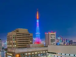 【東京都/港区虎ノ門】パークコート虎ノ門 眺望：バルコニーから（夜景、ズームあり）