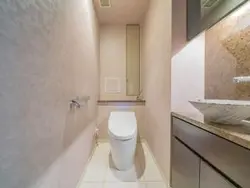 【東京都/港区南麻布】グランスイート広尾 トイレ：タンクレストイレ。手洗いカウンター付き。