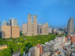 【東京都/新宿区西新宿】シティタワー新宿新都心 LDからの眺望