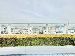 【神奈川県/横浜市中区日本大通】シティタワー横濱 眺望：共用屋上からの眺望、広角なし