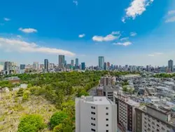 【東京都/港区南青山】青山ザ・タワー 眺望：ズームなし
