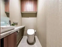 【東京都/千代田区麹町】ザ・パークハウス麹町レジデンス トイレ
