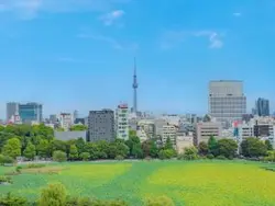 【東京都/台東区池之端】ブリリアタワー上野池之端 眺望