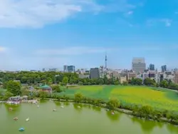【東京都/台東区池之端】ブリリアタワー上野池之端 眺望