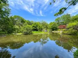 【東京都/港区白金】アルカンシエール白金 有栖川宮記念公園（現地より約950m）