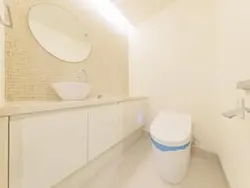 【東京都/港区元麻布】元麻布ヒルズ フォレストテラスイースト トイレ：玄関付近