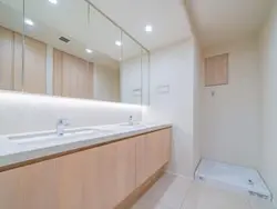 【東京都/港区三田】ザ・レジデンス三田 洗面所