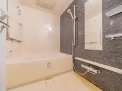 【東京都/港区高輪】プレミストタワー白金高輪 浴室