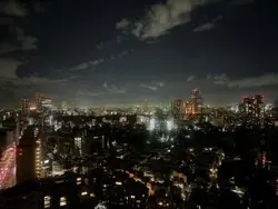 【東京都/港区白金】ザ・パークハウス白金二丁目タワー 眺望