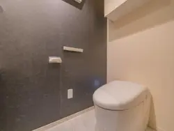 【東京都/港区白金】ザ・パークハウス白金二丁目タワー トイレ