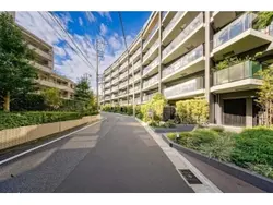 【東京都/文京区小石川】シティテラス文京小石川 A棟 前面道路