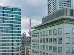 【東京都/港区六本木】麻布市兵衛町ホームズ 眺望：バルコニーからズームした東京タワー