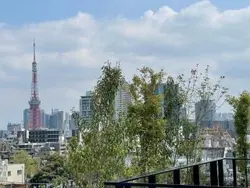 【東京都/港区元麻布】グランドメゾン元麻布 眺望