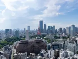 【東京都/港区浜松町】WORLD TOWER RESIDENCE 眺望：ズームなし