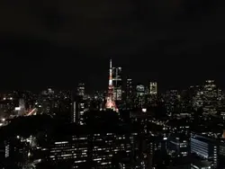 【東京都/港区浜松町】WORLD TOWER RESIDENCE 眺望：ズームなし
