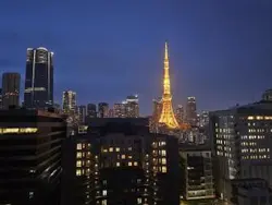 【東京都/港区三田】三田ガーデンヒルズ サウスヒル 眺望