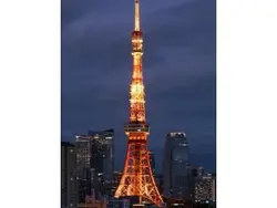 【東京都/港区三田】三田ガーデンヒルズ イーストヒル 眺望：リビングからの眺望、ズーム有