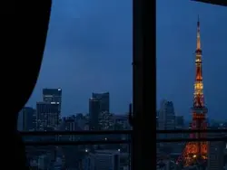 【東京都/港区三田】パークコート麻布十番ザ・タワー 眺望：リビングダイニングから