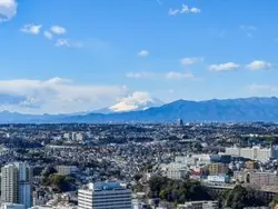 【神奈川県/横浜市神奈川区鶴屋町】THE YOKOHAMA FRONT TOWER 眺望：ズーム撮影