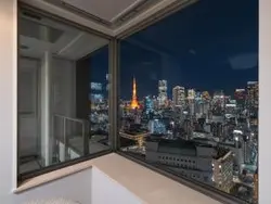 【東京都/港区東新橋】東京ツインパークス レフトウィング 眺望：LDからの眺望（夜景）