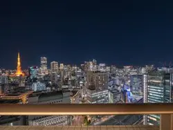 【東京都/港区東新橋】東京ツインパークス レフトウィング 眺望：バルコニーから（夜景）（ズームなし）