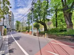 【東京都/渋谷区富ヶ谷】プレミスト代々木公園パークフロント 前面道路
