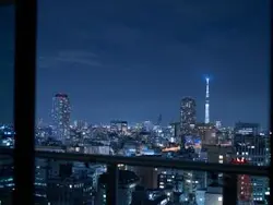 【東京都/中央区新川】ブリリアザタワー東京八重洲アヴェニュー 眺望