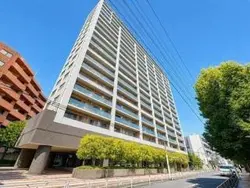 【東京都/渋谷区渋谷】渋谷アインス 外観：2001年12月築。地上18階地下1階建、総戸数167戸のマンションです。ペット飼育可(細則有り)。