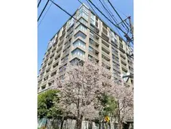 【東京都/千代田区三番町】三番町パークテラス桜苑 外観：桜がシンボルツリーのマンション。