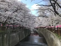 【東京都/目黒区上目黒】ザ・パークハウス諏訪山 目黒川