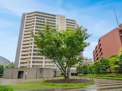 【東京都/渋谷区渋谷】渋谷アインス 敷地内