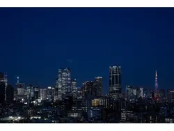 【東京都/渋谷区代官山町】代官山アドレスザ・タワー 眺望