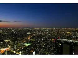 【東京都/新宿区西新宿】ザ・パークハウス西新宿タワー60 眺望