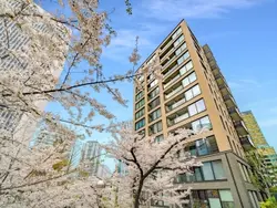 【東京都/港区赤坂】パークコート赤坂桜坂 外観